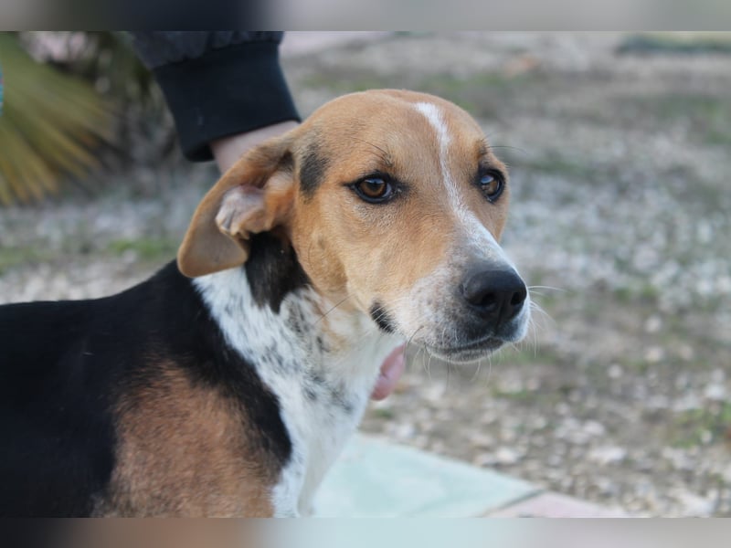 Lola, sehr menschenbezogen und sozial