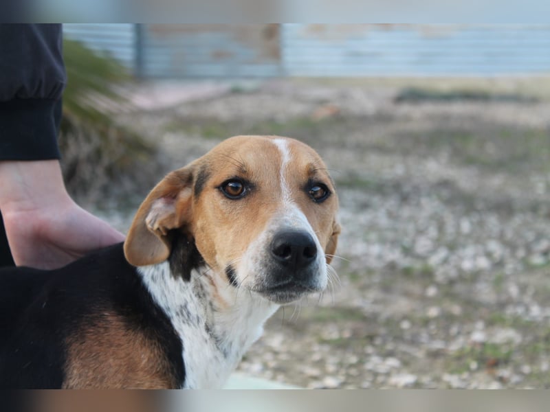 Lola, sehr menschenbezogen und sozial