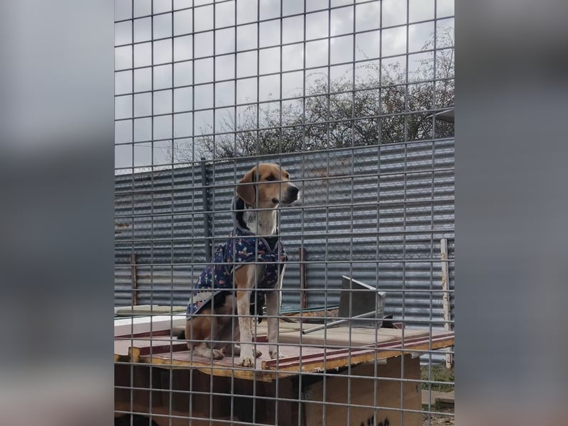 Lola, sehr menschenbezogen und sozial