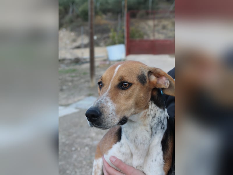 Lola, sehr menschenbezogen und sozial