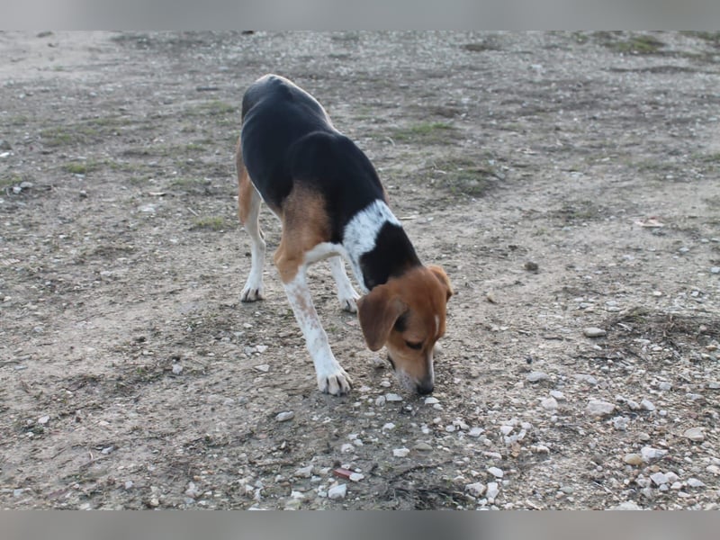 Lola, sehr menschenbezogen und sozial