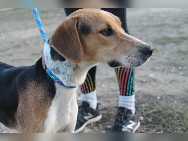 Lola, sehr menschenbezogen und sozial