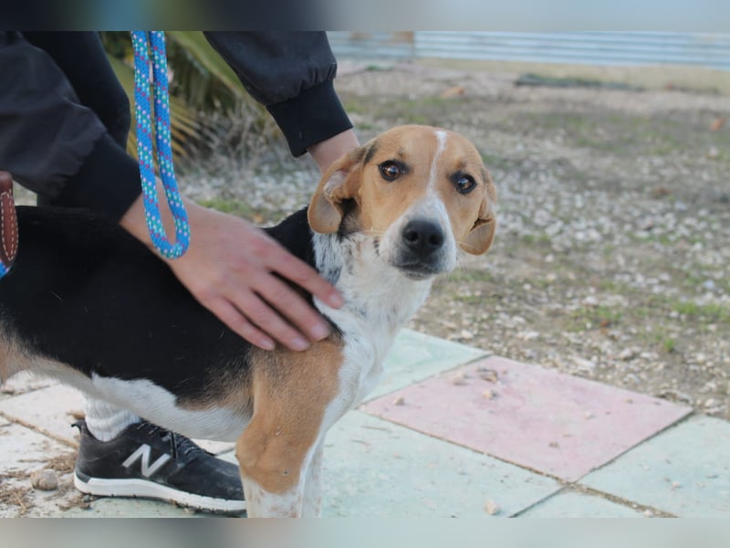 Lola, sehr menschenbezogen und sozial
