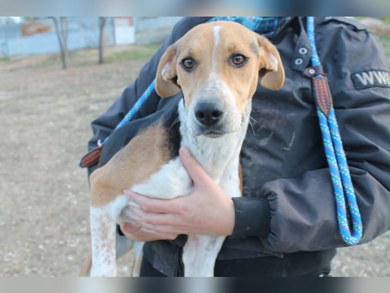 Lola, sehr menschenbezogen und sozial