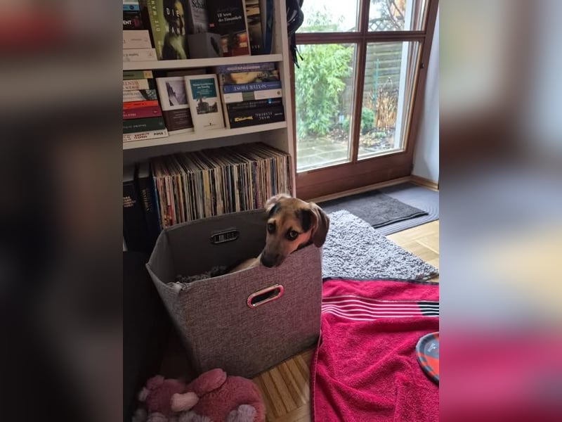 Mia, möchte sportliche Menschen finden