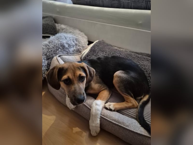 Mia, möchte sportliche Menschen finden