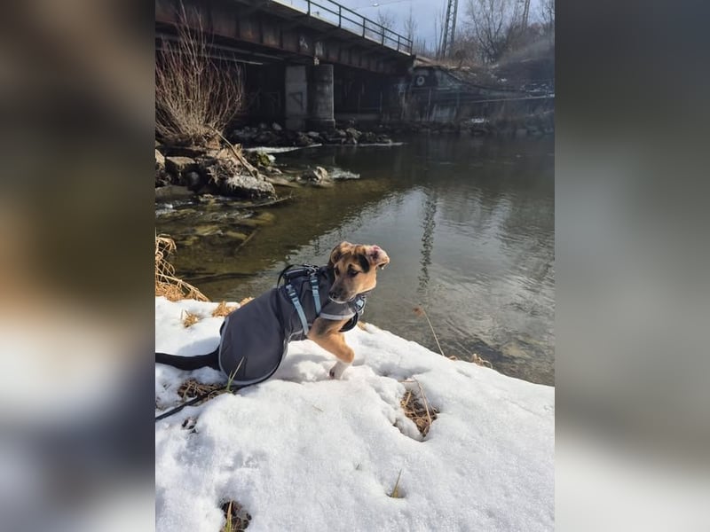 Mia, möchte sportliche Menschen finden