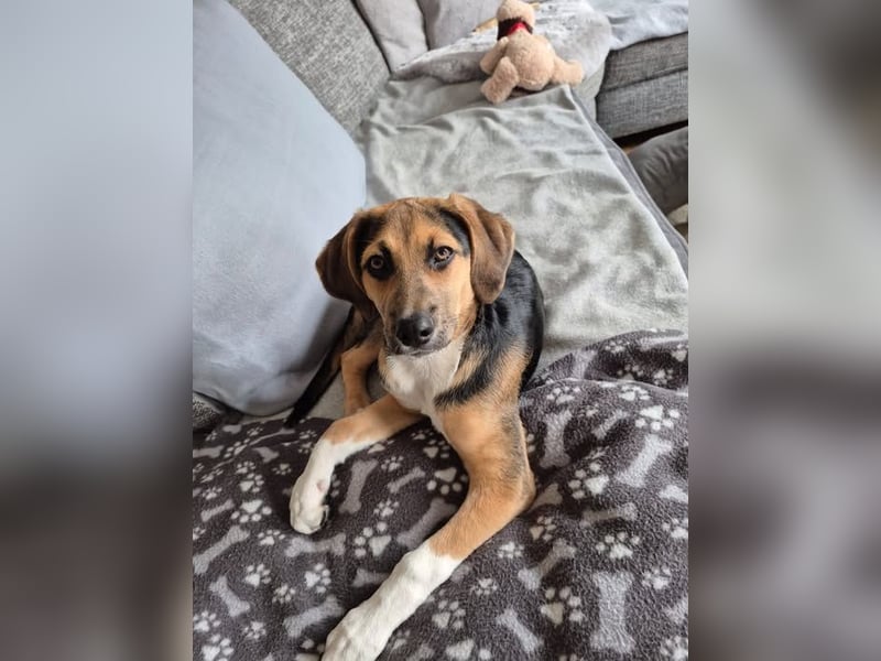 Mia, möchte sportliche Menschen finden