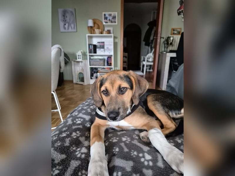 Mia, möchte sportliche Menschen finden