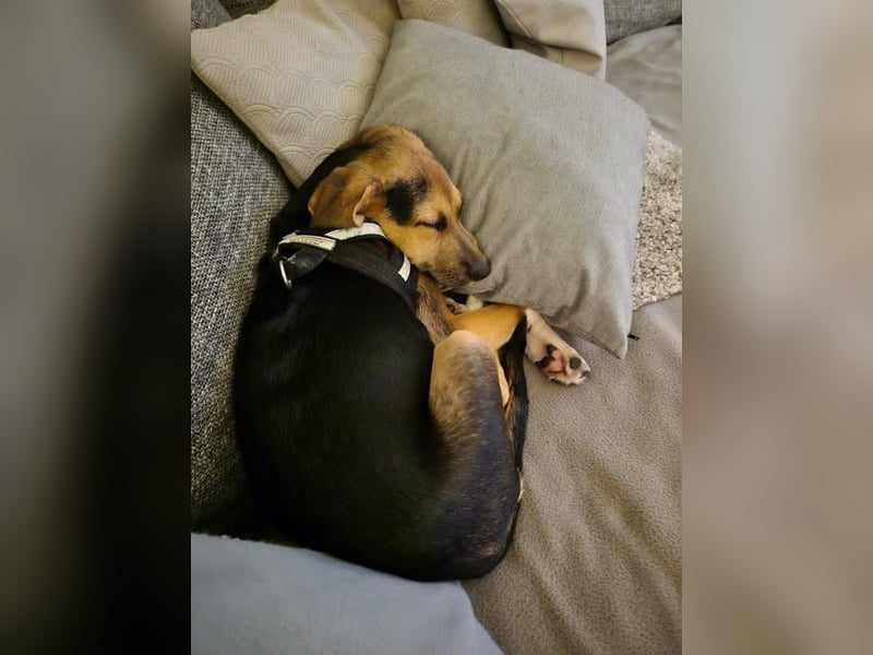 Mia, möchte sportliche Menschen finden