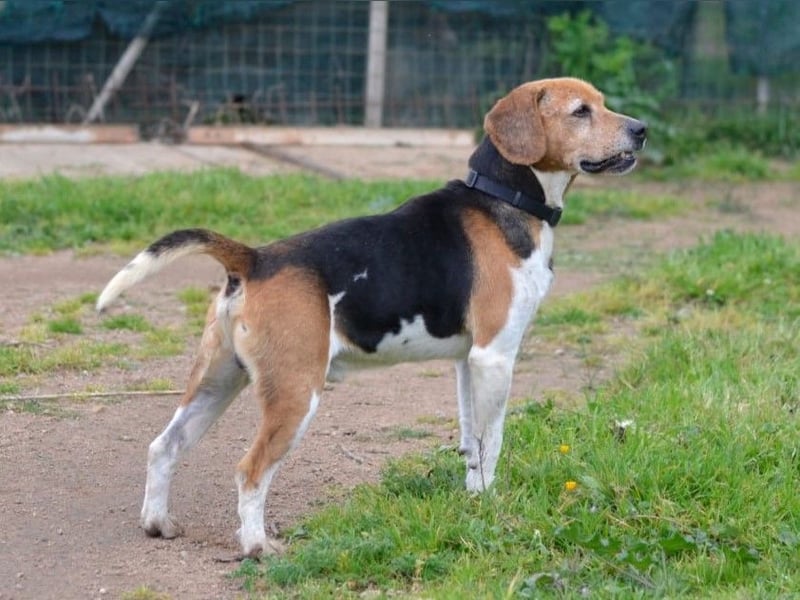 Gustav – reserviert