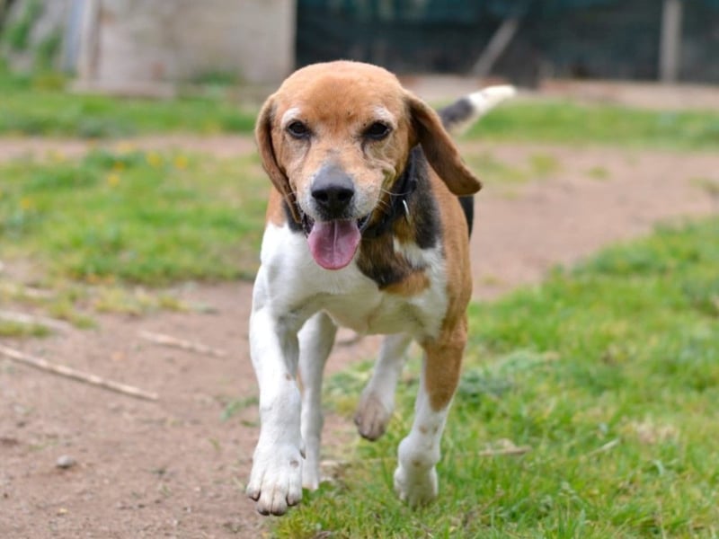 Gustav – reserviert