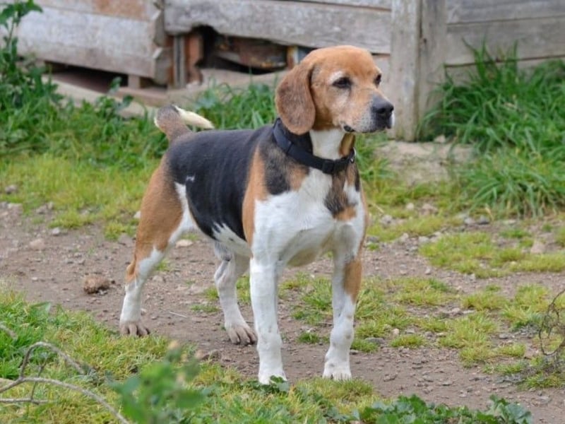 Gustav – reserviert