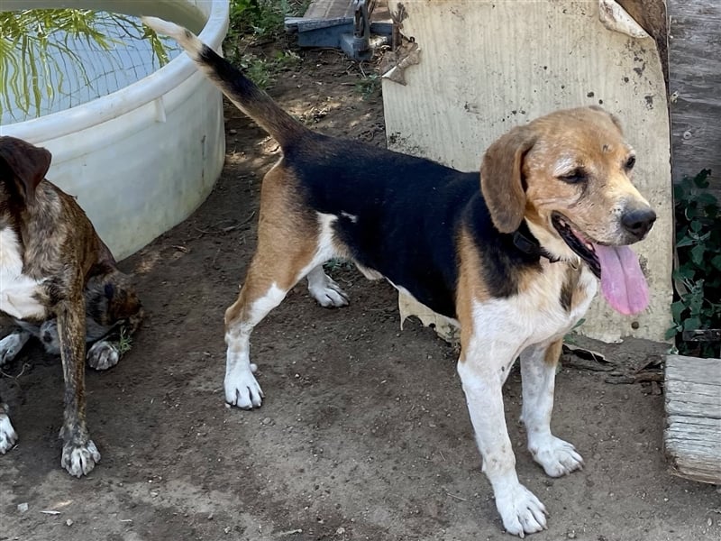 Gustav – reserviert