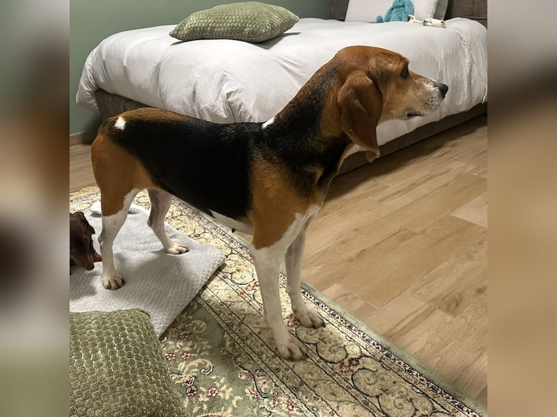 Luna - freundliches Mädchen