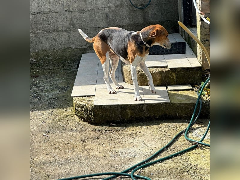 Luna - freundliches Mädchen