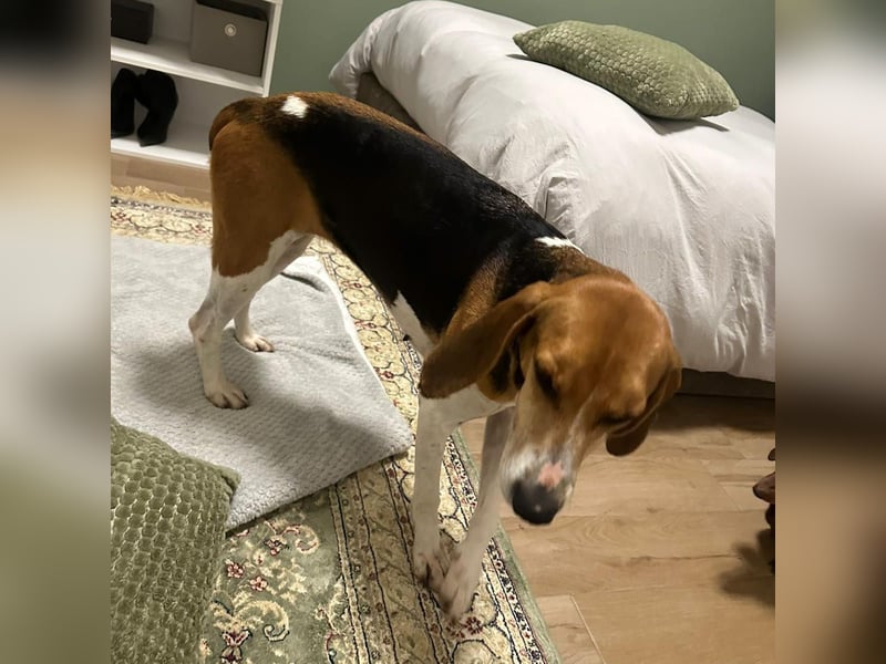 Luna - freundliches Mädchen