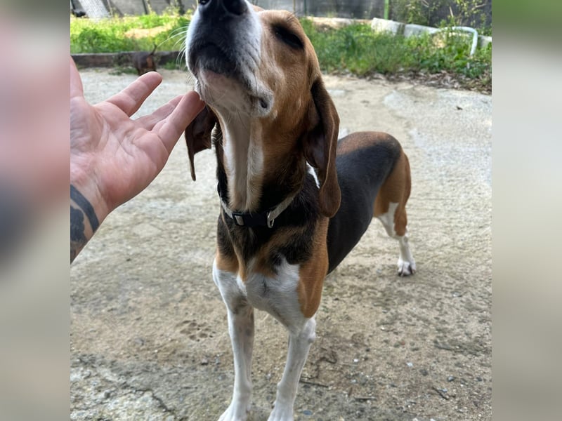 Luna - freundliches Mädchen