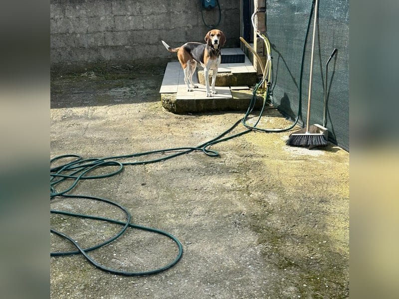 Luna - freundliches Mädchen