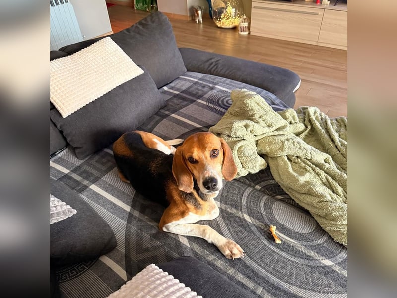 Luna - freundliches Mädchen