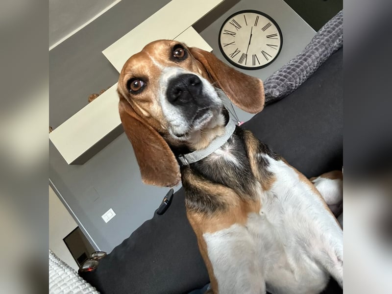 Luna - freundliches Mädchen