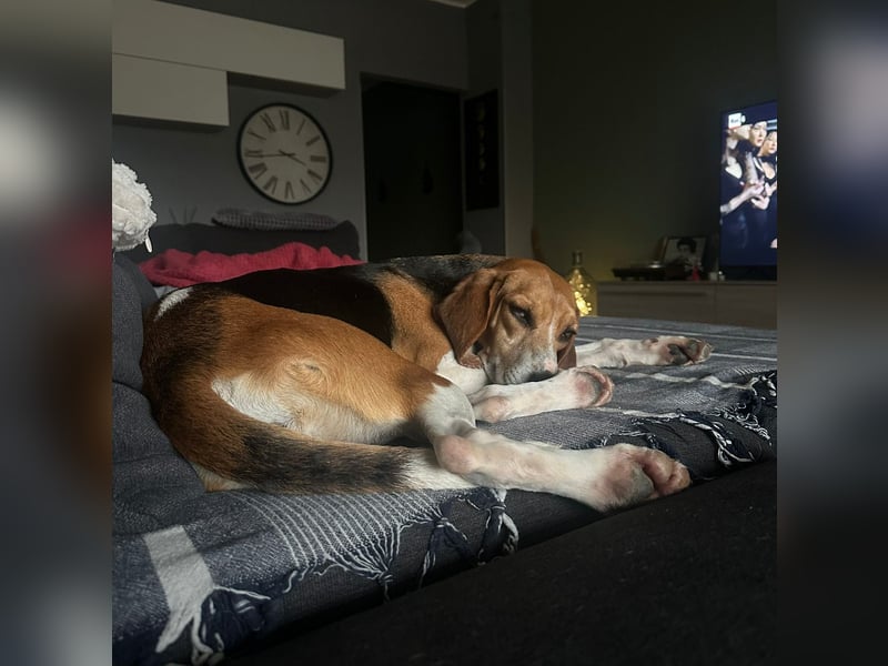 Luna - freundliches Mädchen