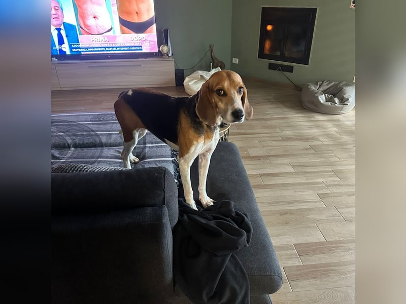 Luna - freundliches Mädchen