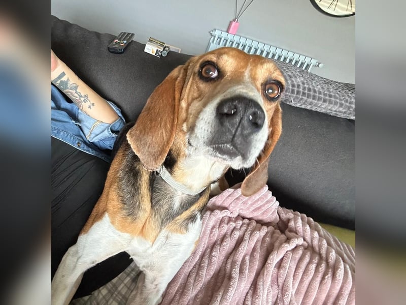 Luna - freundliches Mädchen