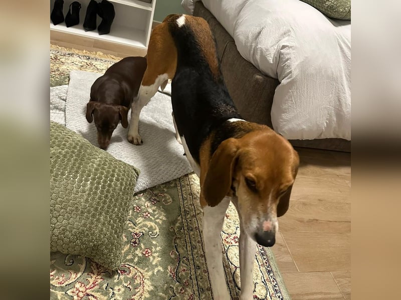 Luna - freundliches Mädchen