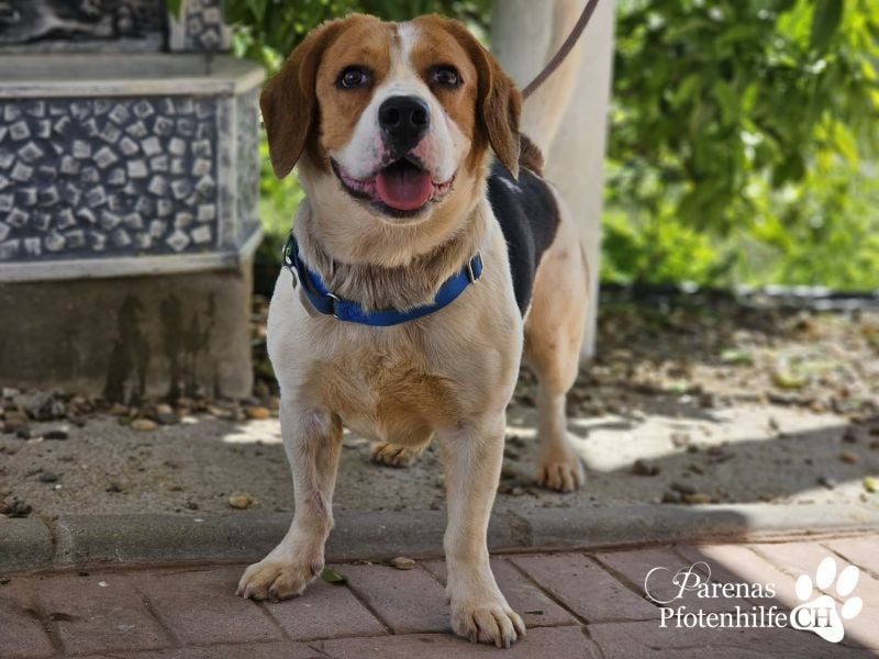 Olmo ist sehr freundlich und aufgeschlossen