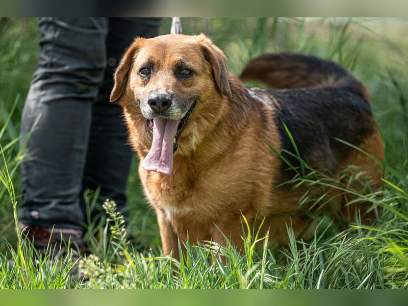 Marlo VA  möchte endlich ein Zuhause
