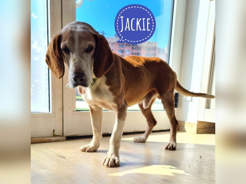 Jackie will Liebe und Geborgenheit erfahren