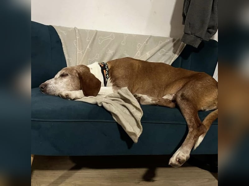 Jackie will Liebe und Geborgenheit erfahren