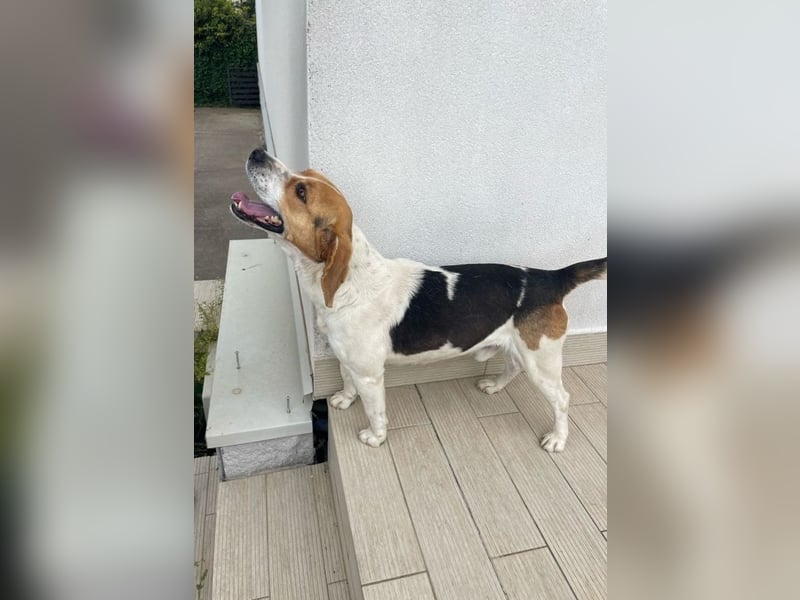 Lucky - Vier lange Jahre