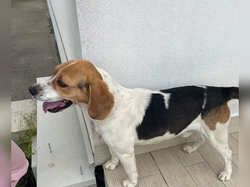 Lucky - Vier lange Jahre