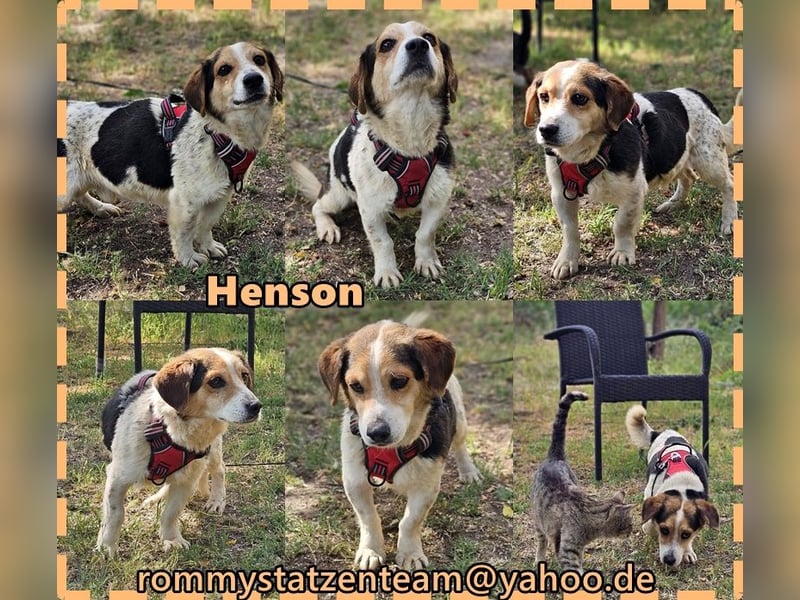 Henson möchte doch alles richtig machen