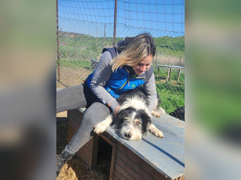 HARLEEN ♥ - Gerettet aus Horror Tötung Slatina, Ostern'22