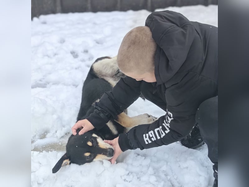 Reni ein sanfter verunsicherter Schatz