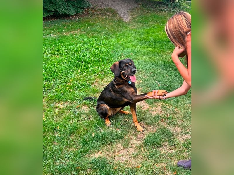 Freundliche Nika sucht eine neue Familie