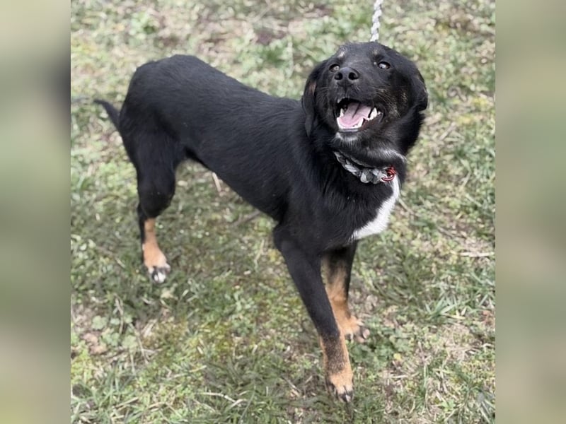 Kira ein Sonnenschein