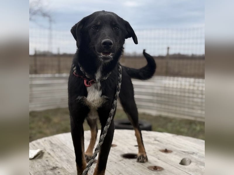 Kira ein Sonnenschein