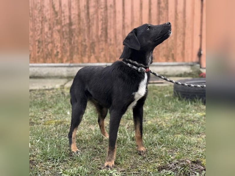 Kira ein Sonnenschein