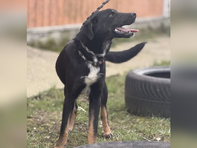 Kira ein Sonnenschein