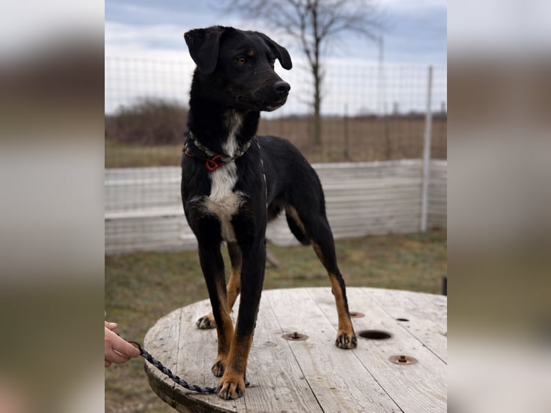 Kira ein Sonnenschein