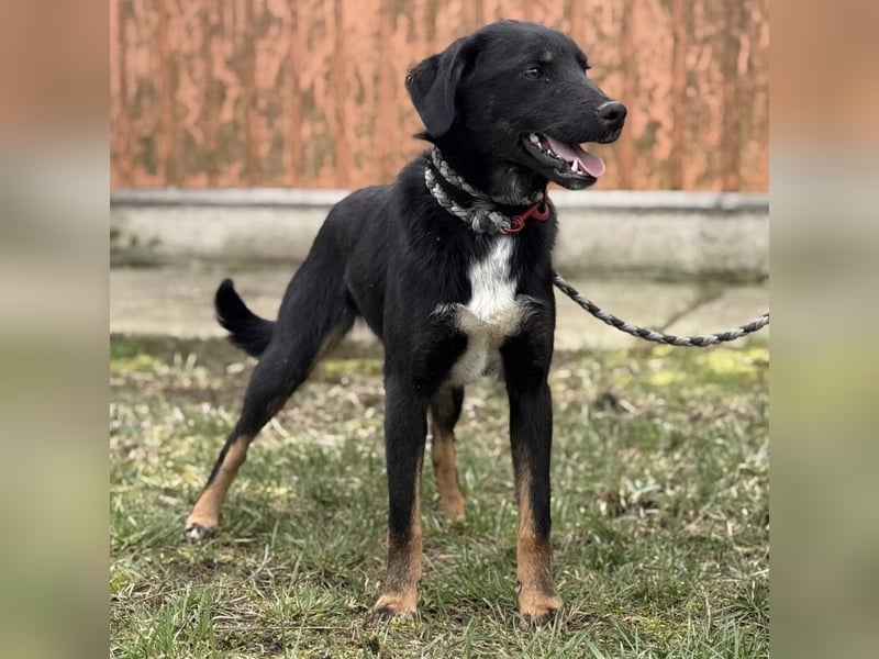 Kira ein Sonnenschein