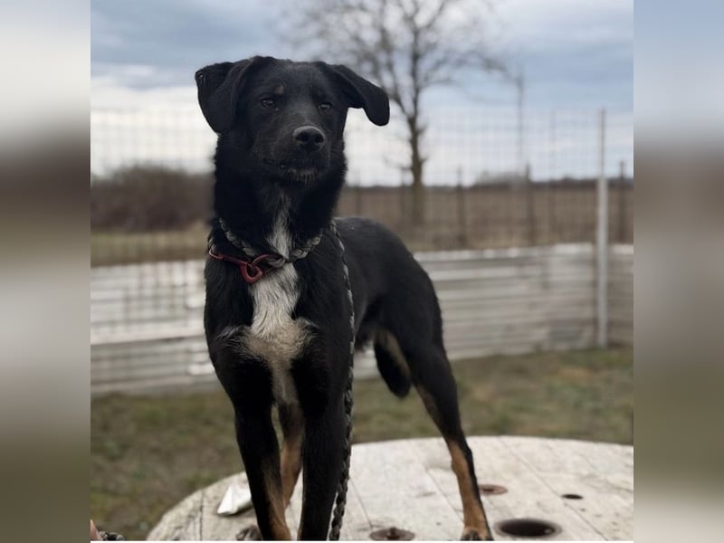 Kira ein Sonnenschein