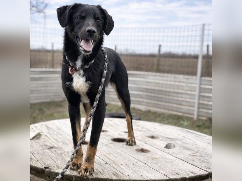 Kira ein Sonnenschein