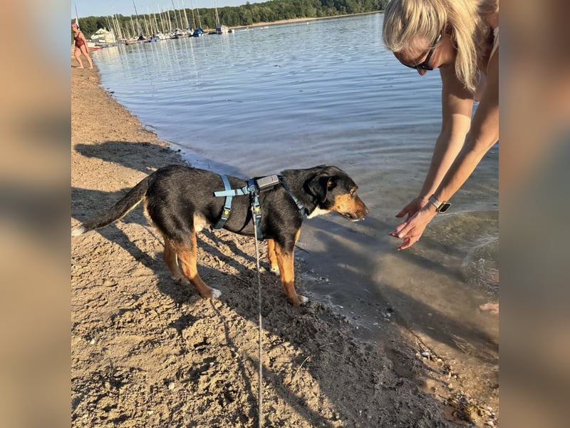 Beppi der wundervollste Schatz