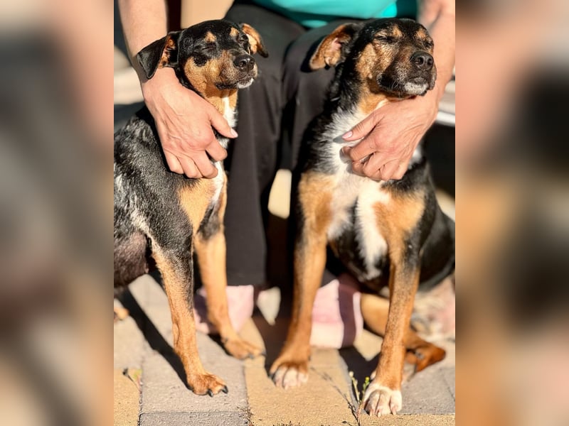 Beppi der wundervollste Schatz