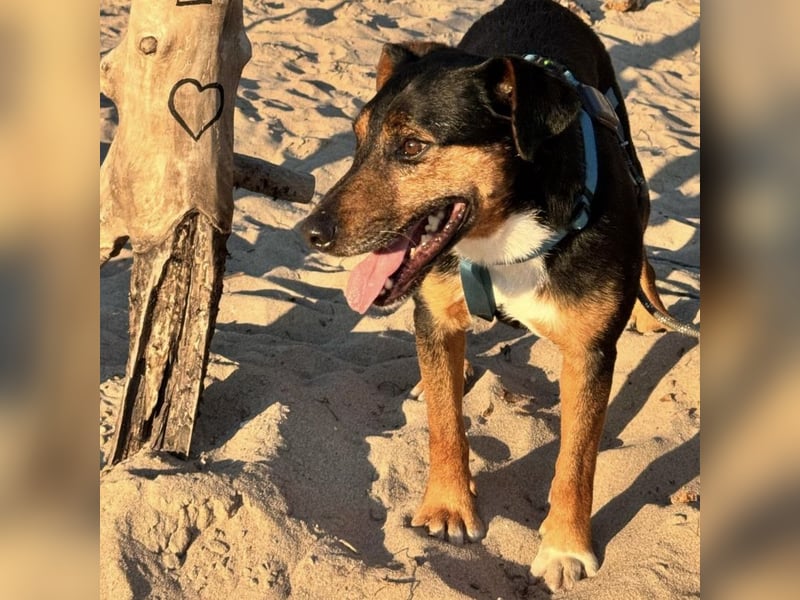 Beppi der wundervollste Schatz